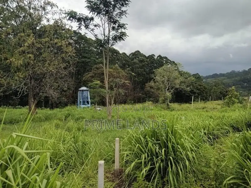 Land for Sale in Pussallawa