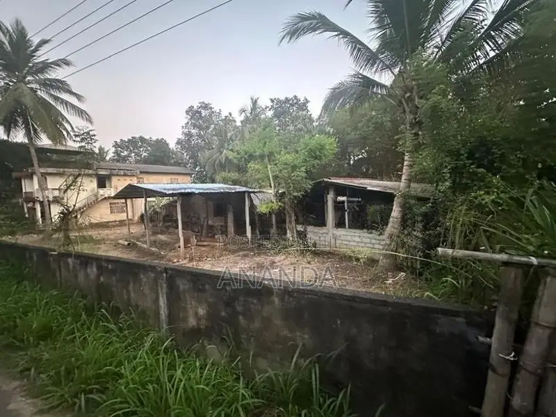 Land with House for Sale in Wellawaya