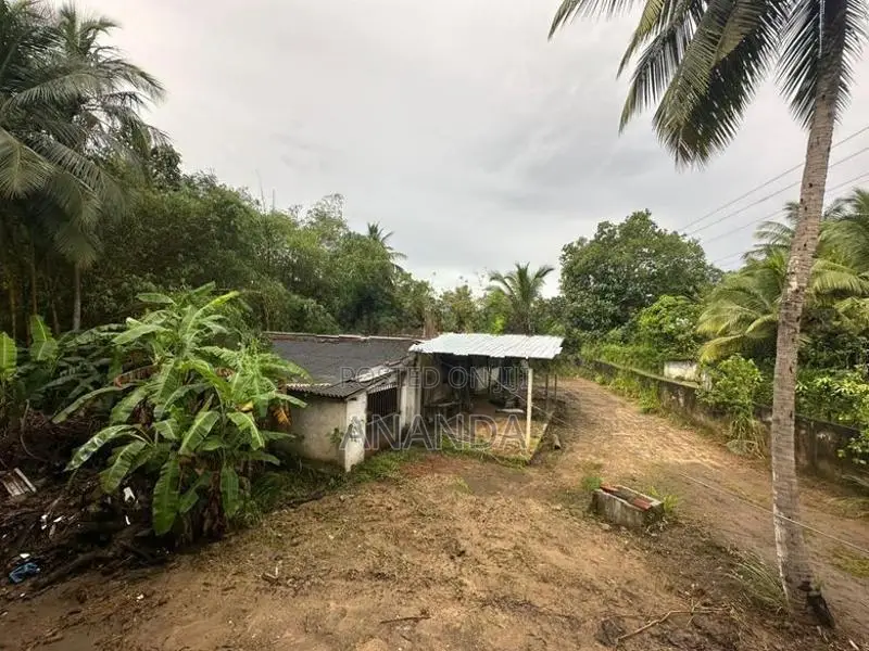 Land with House for Sale in Wellawaya