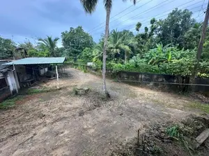 Land with House for Sale in Wellawaya
