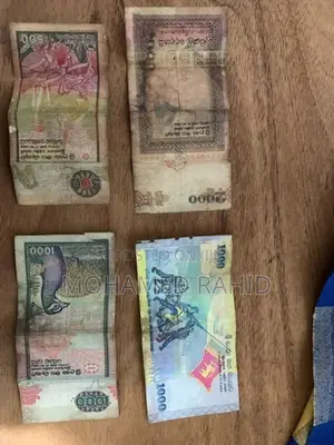 Old Notes