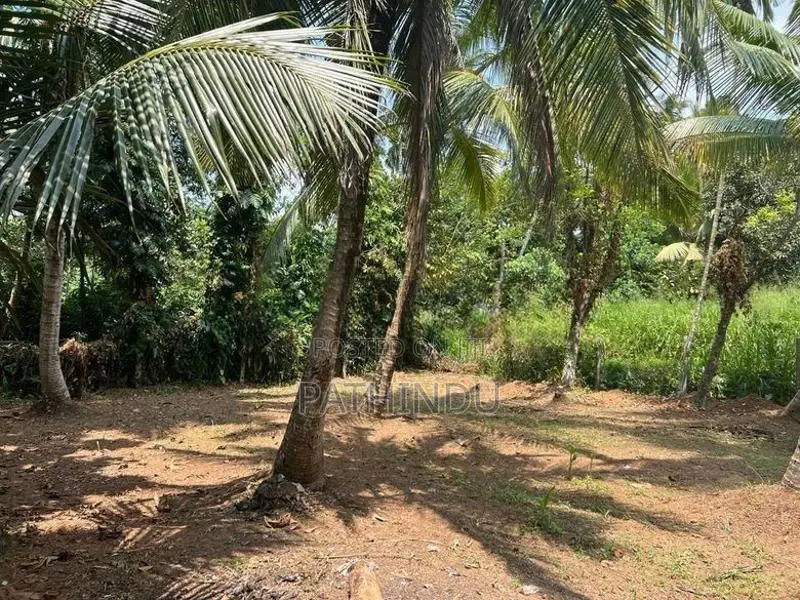 24 Perch Land with House for Sale in Bandaragama