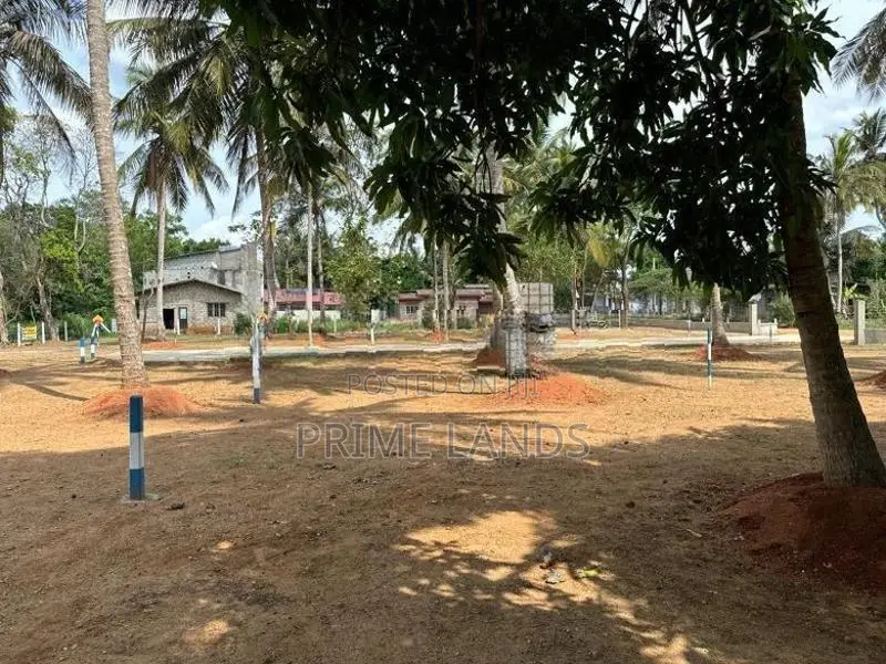 අනුරාධපුර පුජානගරයට නුදුරින් අගනා ඉඩමක් අපෙන්