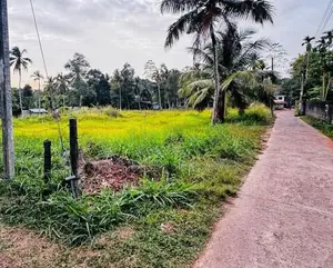 Kalagedihena Perfect Residential Block out Land for Sale