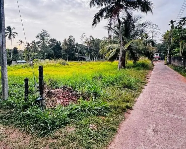 Kalagedihena Perfect Residential Block out Land for Sale