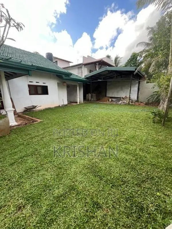 Malaysian Grass