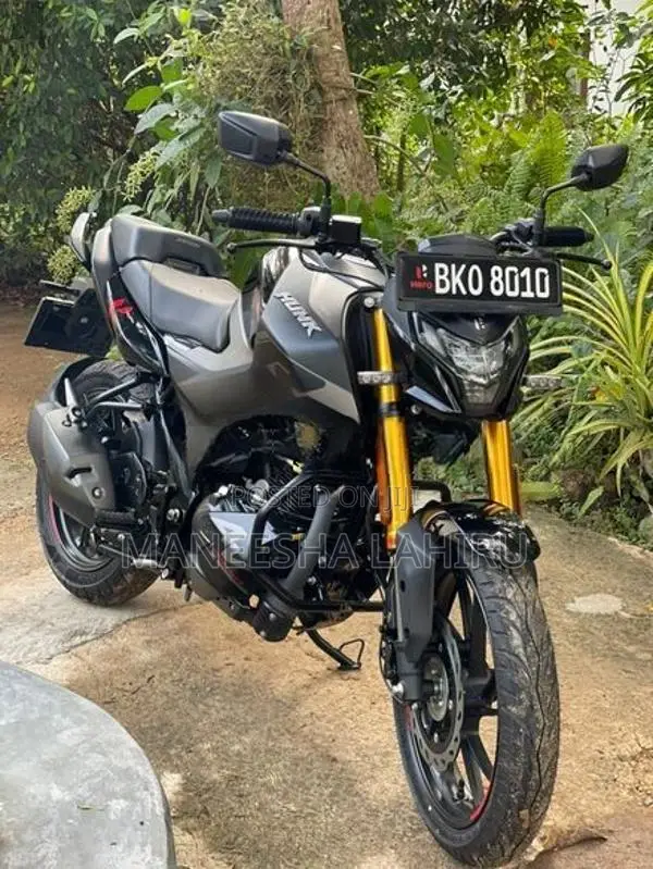 Hero Hunk 160R 2025