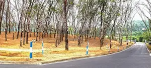 Meegoda Land for sale ( Near the thalagala Road)