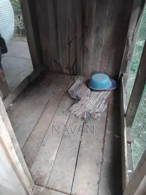Dog Cage