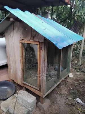 Dog Cage