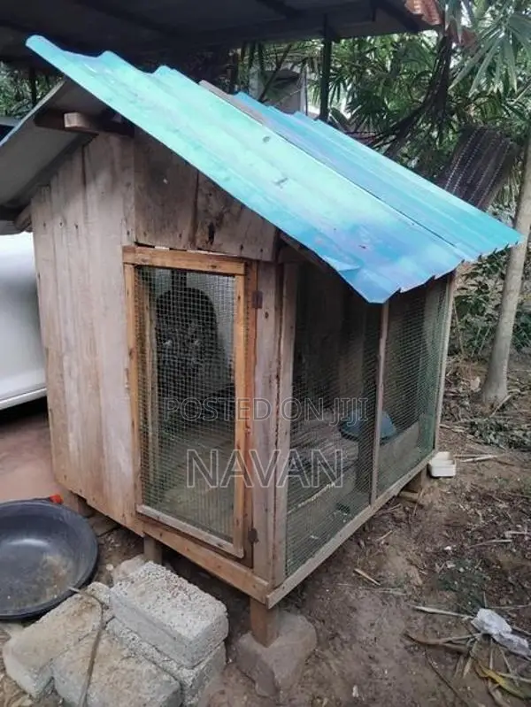 Dog Cage