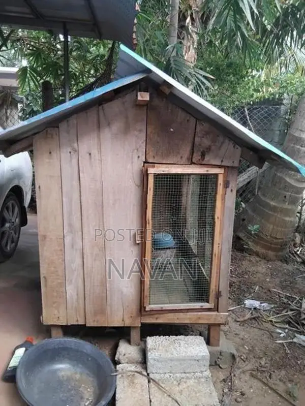 Dog Cage