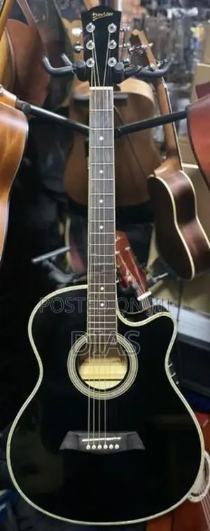Acoustic Guitar
