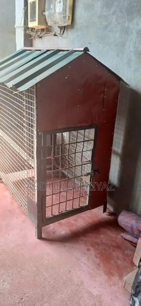 Dog Cage