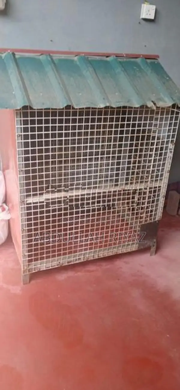 Dog Cage
