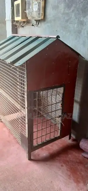 Dog Cage