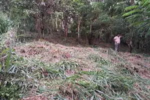 Land for Sale (3987 A) Kandy