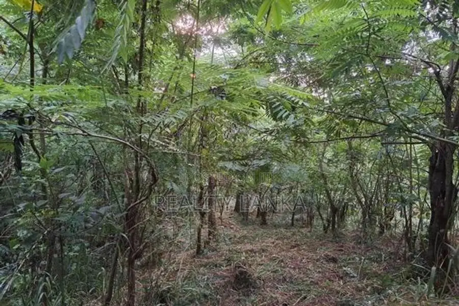 Land for Sale (3987 A) Kandy