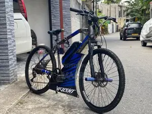 Electric Bicycle