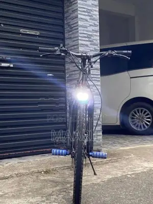 Electric Bicycle