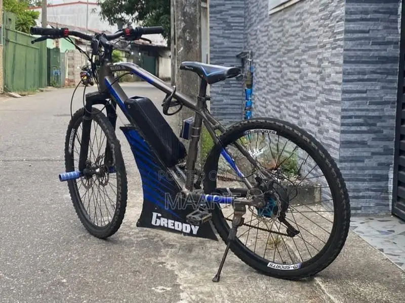 Electric Bicycle