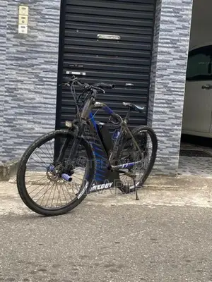 Electric Bicycle