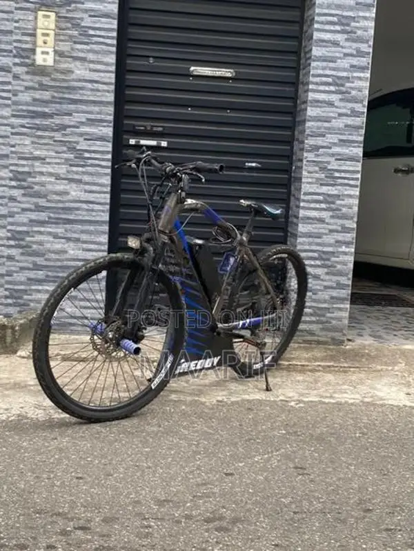 Electric Bicycle