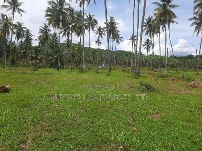 නාරම්මල ටවුමටත් නාකලගමුව අදිවේගි පිවිසුමටත් ලගින් සුපිරි ඉඩමක්