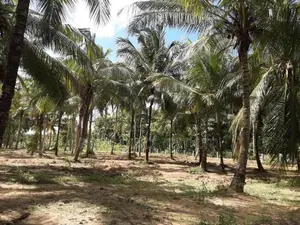 කුරුණෑගල - අනුරාධපුර ප්‍රධාන මාර්ගයට මුහුණලා බිම් කොටසක්