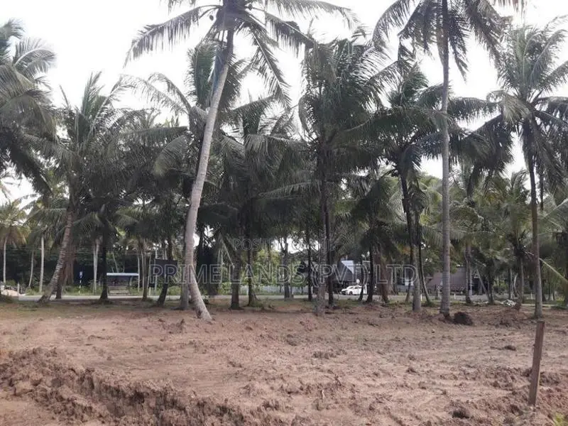 කුරුණෑගල - අනුරාධපුර ප්‍රධාන මාර්ගයට මුහුණලා බිම් කොටසක්