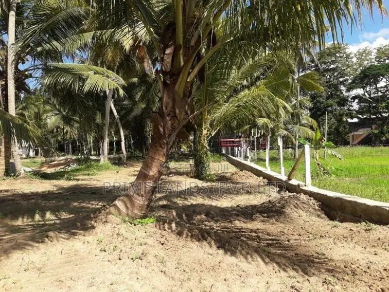 කුරුණෑගල - අනුරාධපුර ප්‍රධාන මාර්ගයට මුහුණලා බිම් කොටසක්