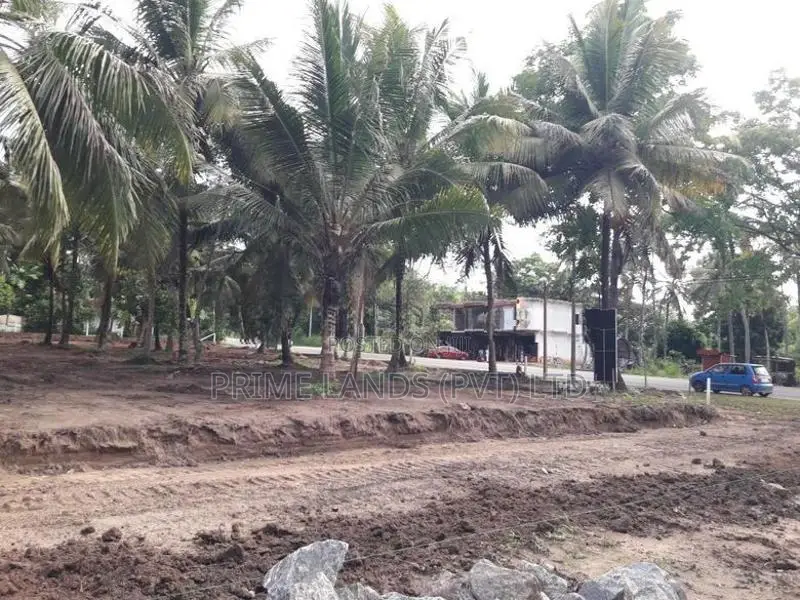 කුරුණෑගල - අනුරාධපුර ප්‍රධාන මාර්ගයට මුහුණලා බිම් කොටසක්