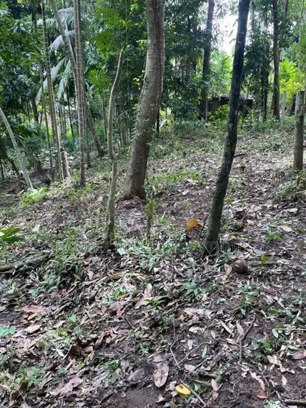 Prime Residential Land for Sale in Amunugama, Kandy