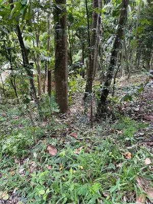 Prime Residential Land for Sale in Amunugama, Kandy