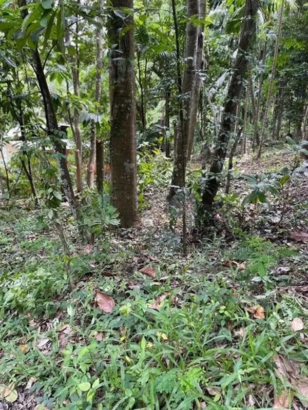 Prime Residential Land for Sale in Amunugama, Kandy