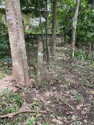 Prime Residential Land for Sale in Amunugama, Kandy