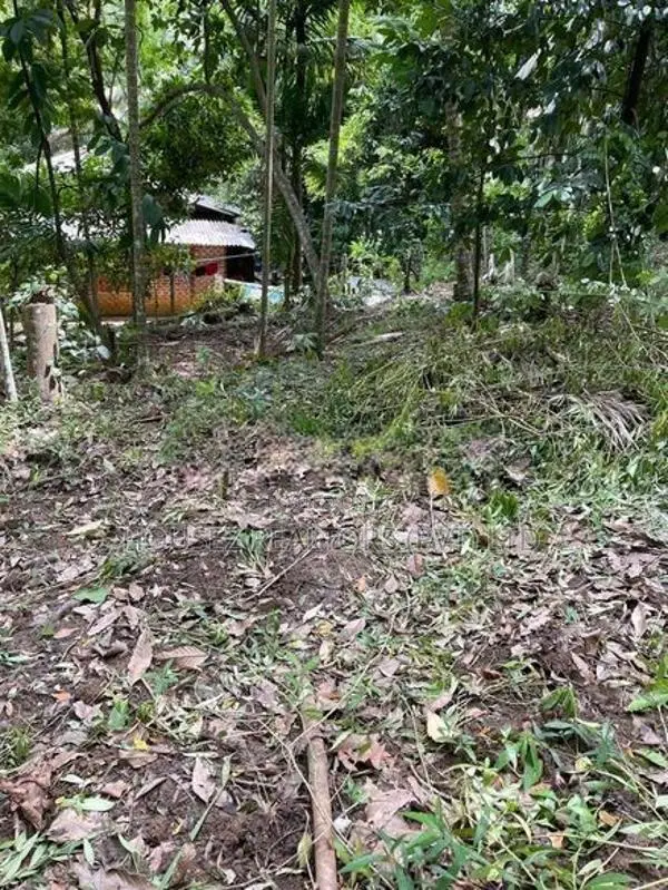 Prime Residential Land for Sale in Amunugama, Kandy