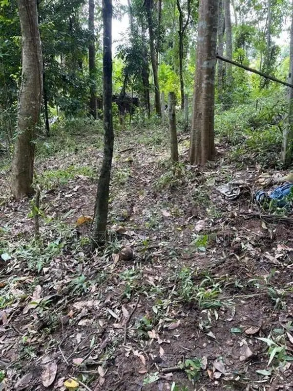 Prime Residential Land for Sale in Amunugama, Kandy