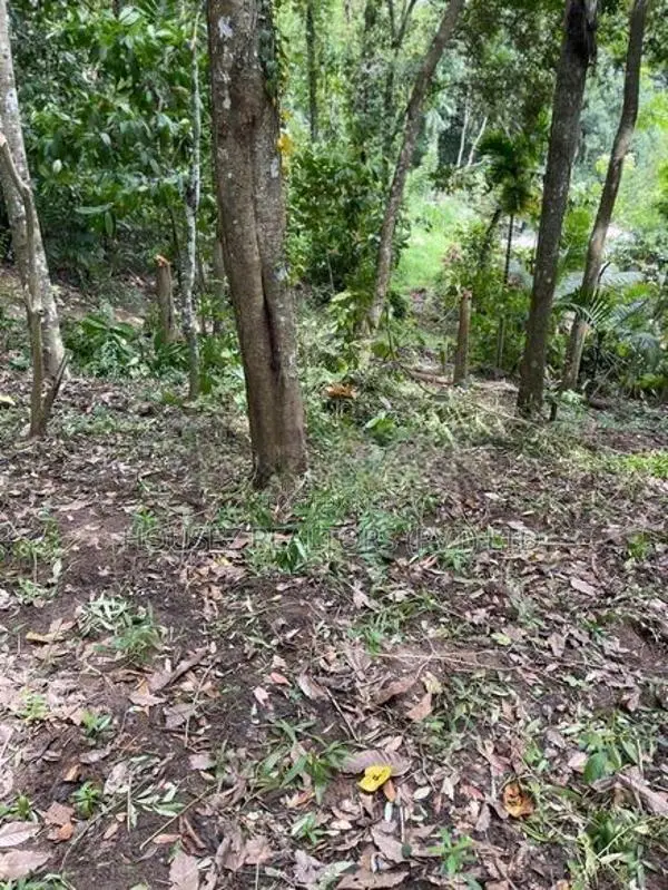 Prime Residential Land for Sale in Amunugama, Kandy