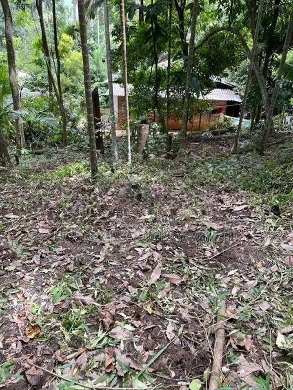 Prime Residential Land for Sale in Amunugama, Kandy