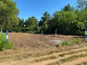 පර්චස් 22ක ඉඩමක් විකිණීමට - වැල්ලවාය