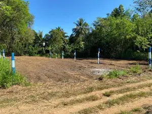 පර්චස් 22ක ඉඩමක් විකිණීමට - වැල්ලවාය