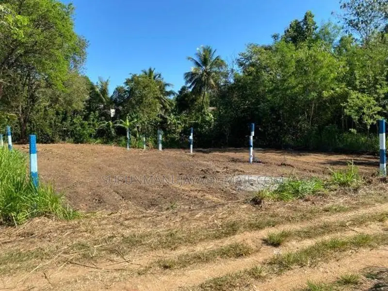 පර්චස් 22ක ඉඩමක් විකිණීමට - වැල්ලවාය