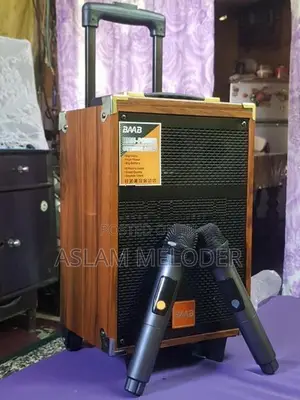 BAAB Speaker