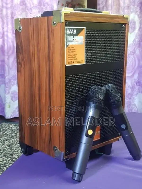 BAAB Speaker