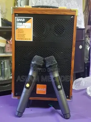 BAAB Speaker