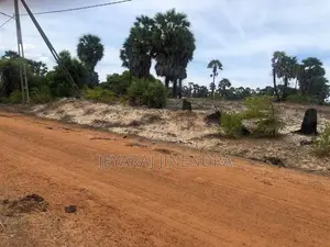 3 Acre Land for Sale Kilinochchi District-Poonakary