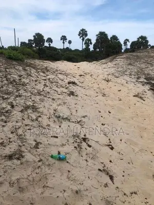 3 Acre Land for Sale Kilinochchi District-Poonakary