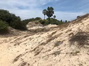 3 Acre Land for Sale Kilinochchi District-Poonakary