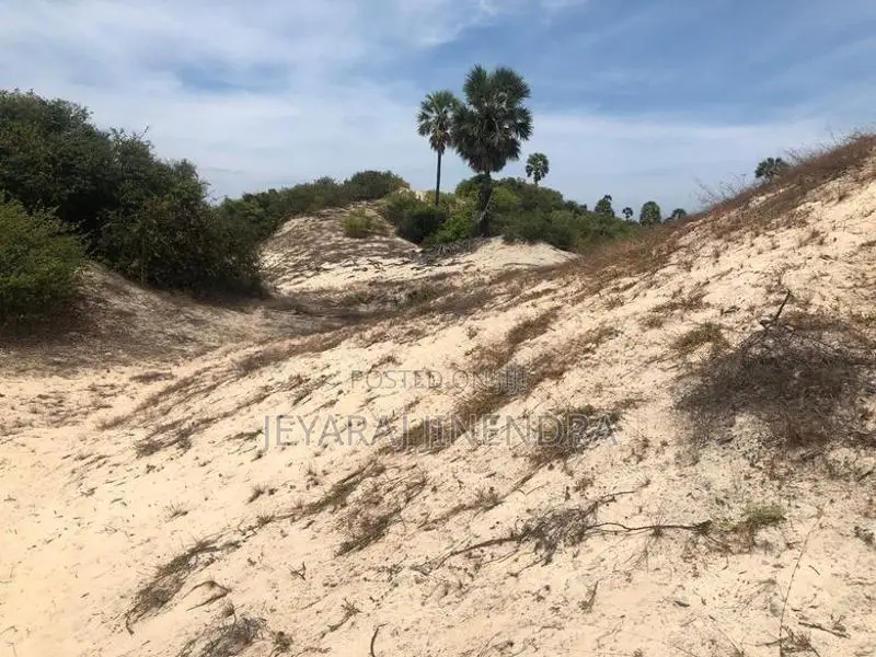 3 Acre Land for Sale Kilinochchi District-Poonakary